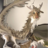 Be_tap_code