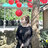 Linh0110@