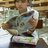 prochiase