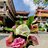 Linhphan123456