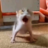 @Hmmm1340