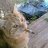 dvy_03