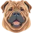 Shar Pei