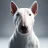 Bull Terrier