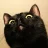 black_cat_00