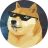 shiba inu