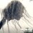 frogflue