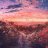doan_2704