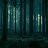 rungram_amazon